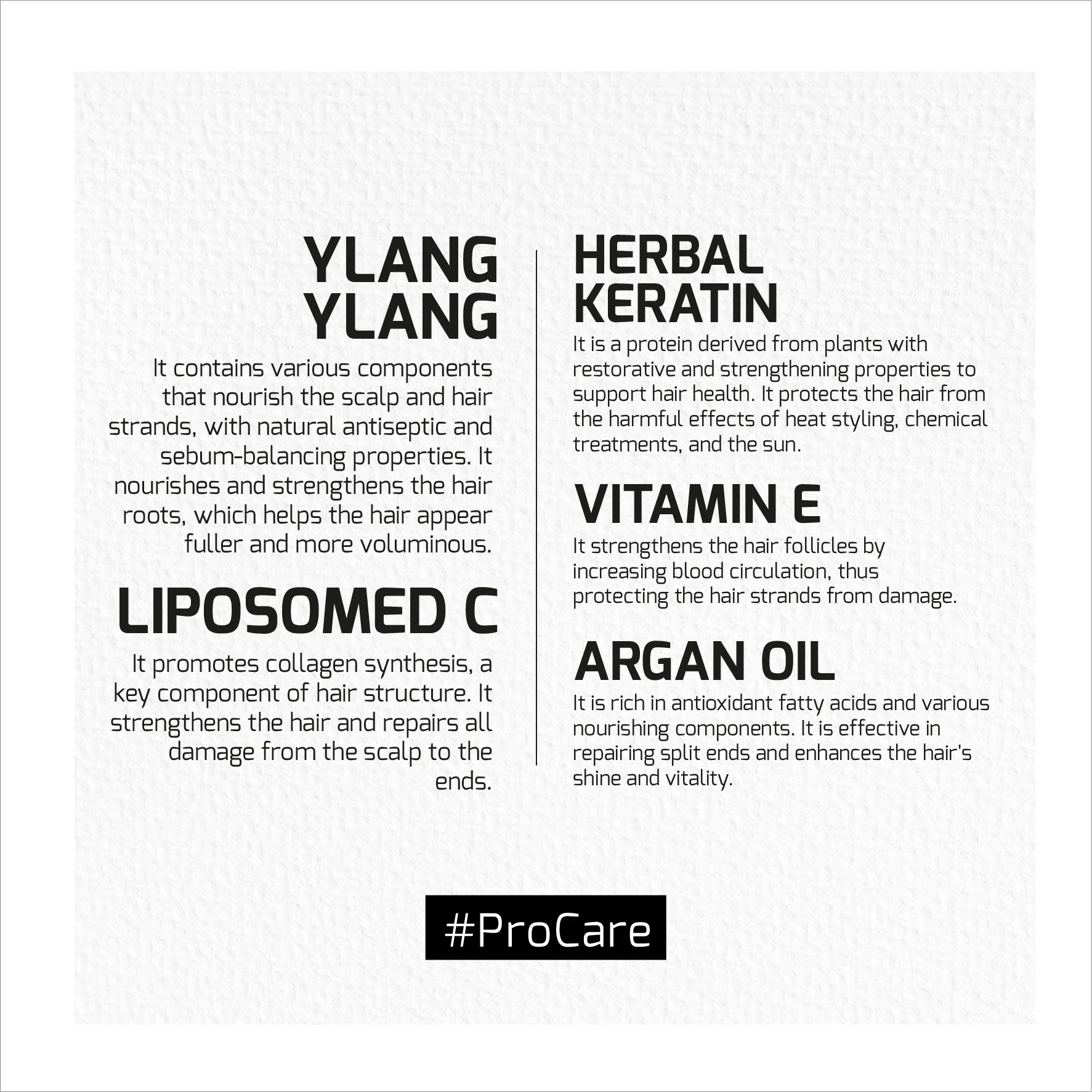Agiva Ylang Ylang Lıpozom C Pro Care Hair Cream 250ML - Image 4